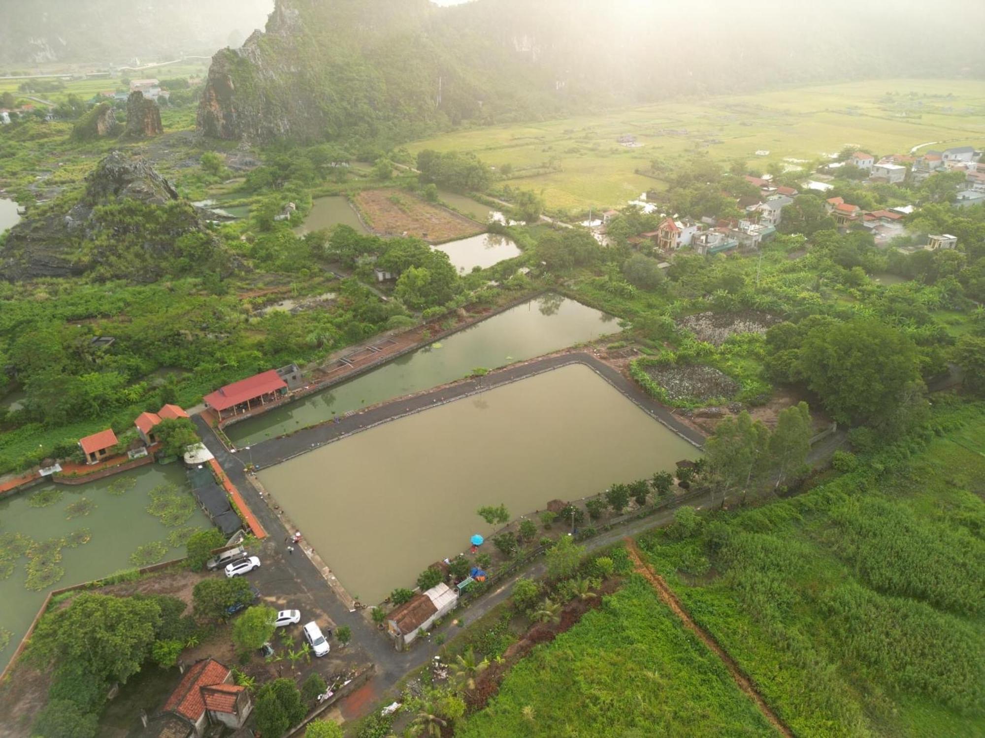 Tam Coc Cat Luong Homestay Ninh Bình Ngoại thất bức ảnh