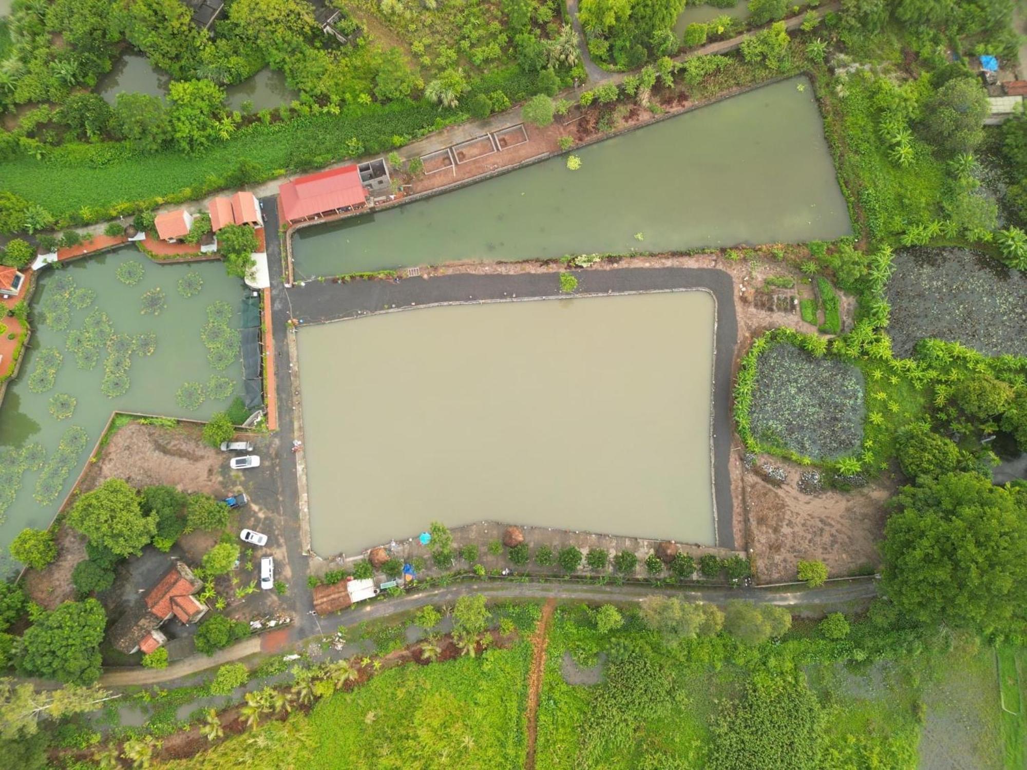 Tam Coc Cat Luong Homestay Ninh Bình Ngoại thất bức ảnh